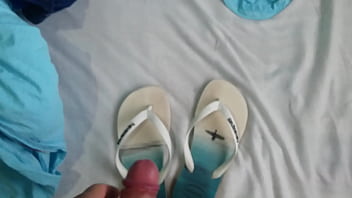 xvibeo s com