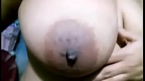Los Pechos De Mi Mujer