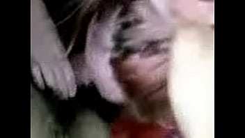 Received 1560130904029890 0011 1