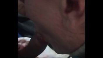 Pintão Pintão