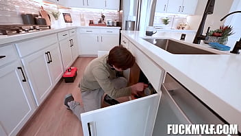 The handyman The handyman