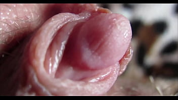 Pussy orgasm Pussy orgasm