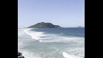 O que vocês acham do meu quintal O que vocês acham do meu quintal