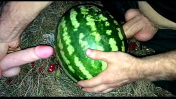 Russian criminal found a talking watermelon and shoved his penis into its hole Russian criminal found a talking watermelon and shoved his penis into its hole