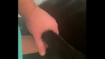 Caged & collared in black downjacket – blowjob doggy & cum finish Caged & collared in black downjacket – blowjob doggy & cum finish