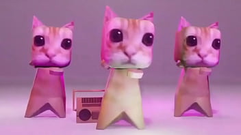 Cat pro broo Cat pro broo