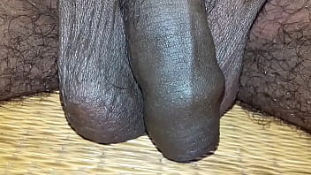 Indian cock show Indian cock show