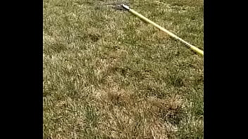 Yo y mi novia Yo y mi novia