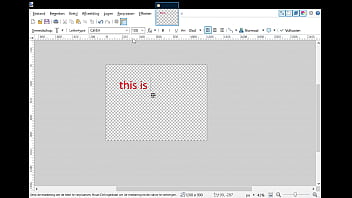 Verificatievideo Verificatievideo
