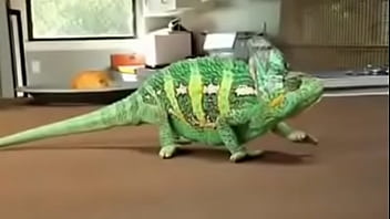 Vid 20150428 wa0013 Vid 20150428 wa0013