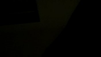 Loves to chew Loves to chew