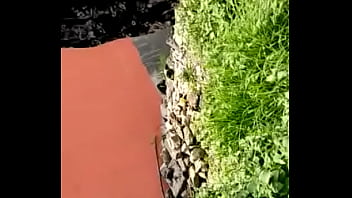 Vid 20160802 wa0009 Vid 20160802 wa0009