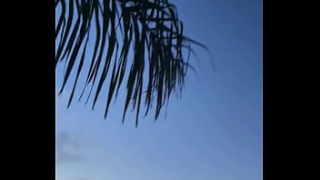 Update #88 2023 03 27t21 29 01 000z