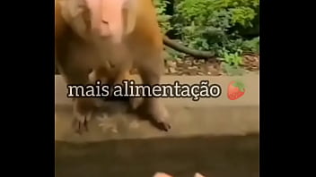 Olokinho meu
