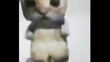 El gato epik El gato epik