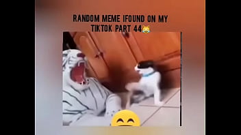 Tiktok cold moment complition part 1