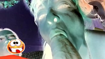Negative fx blowjob
