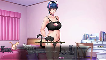Takanashi shizuku cat 3 Takanashi shizuku cat 3