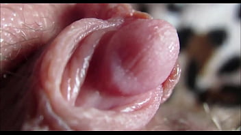 Orgasm pussy Orgasm pussy
