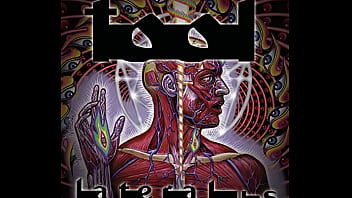 Tool Tool