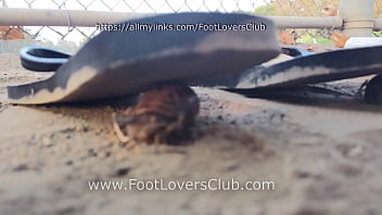 Latina giantess soles crush tiny unaware bugs flip flops goddess dirty feet Latina giantess soles crush tiny unaware bugs flip flops goddess dirty feet