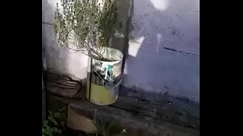 Tirando en el patio