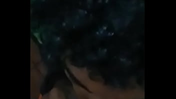 Chupeta gulosa Chupeta gulosa
