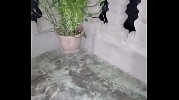 Vídeo de verificación Vídeo de verificación