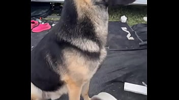 Update #451 2025 03 01t15 18 33 000z