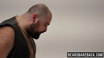 Fat bear shoves hear cock up tight ass Fat bear shoves hear cock up tight ass