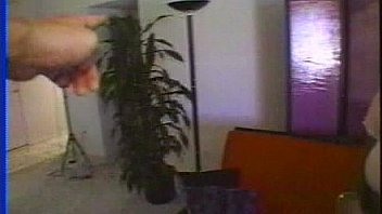 Lbo affrican angels 02 scene 2 video 1 Lbo affrican angels 02 scene 2 video 1