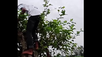 Bangla sex video Bangla sex video