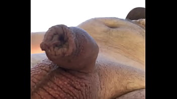 Naked big bear with small dick Naked big bear with small dick