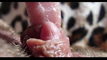 Pussy orgasm Pussy orgasm
