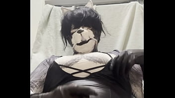 Fatdog husky handjob Fatdog husky handjob
