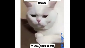 Venezolana gime y pide más Venezolana gime y pide más