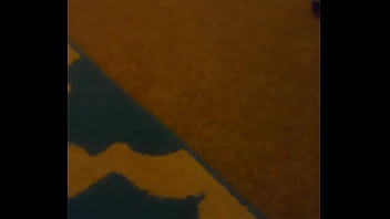 20160220 041231 20160220 041231