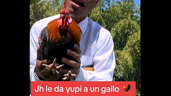 Jh detona a gallina con bendición Jh detona a gallina con bendición