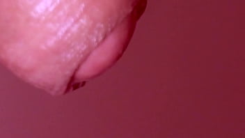 Japanese homestay experience Japanese homestay experience