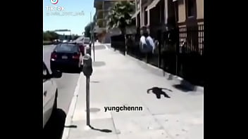 Fudendo as leis da física Fudendo as leis da física