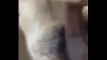 Trim xvideo #34445279