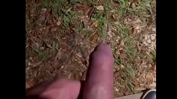 Piss xvideo #67299789