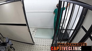 Welcome to rikers ditria rose