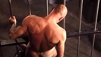 Hairy stallions in dungeons and chains Hairy stallions in dungeons and chains