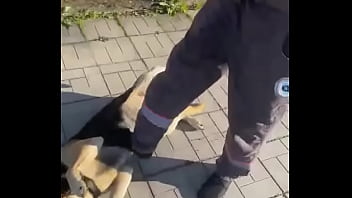 Видео для верификации Видео для верификации