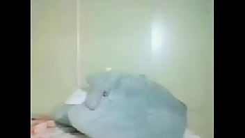 Veny tkw Veny tkw