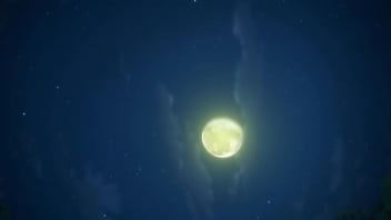 Anime Anime