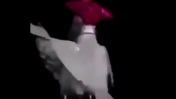 Shitpost Shitpost