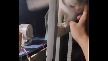 验证视频 验证视频