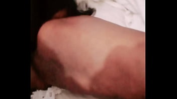 Sundaydogood614 update #1027 vid 20250423 133123 apr 23 2025